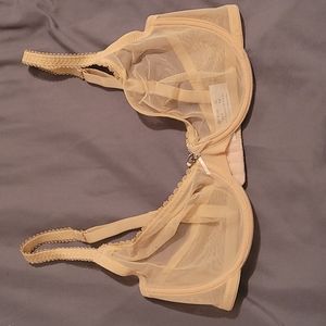 Amazon "Sexy" Sheer Mesh Underwire Bra